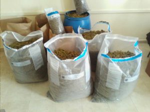 drugs seized by albanian police