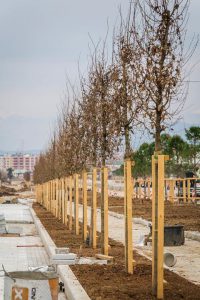 Tirana's New Boulevard under construction, Photo: Municipality of Tirana