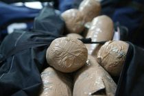 49 Kilograms of Cocaine Sequestred at the Port of Durrës